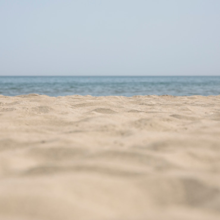 Photo gratuit gros plan, tropical, plage sablonneuse