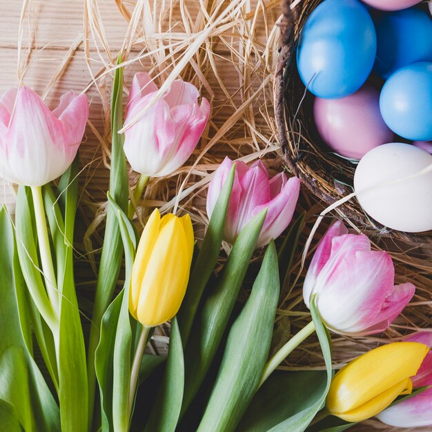 Gros plan de tulipes et d&#39;oeufs