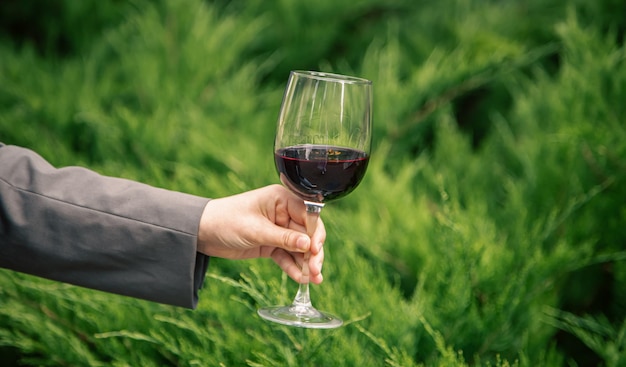 Photo gratuite gros plan un verre de vin rouge sur fond de buissons verts