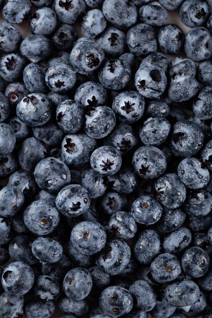 Gros plan vertical de bleuets avec des gouttelettes d'eau