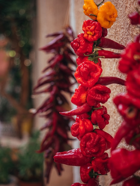 Gros plan vertical de différents piments rouges séchés accrochés au mur de béton