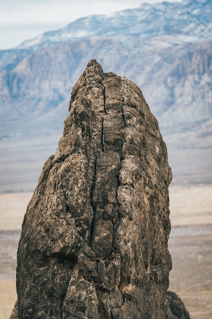 Gros plan vertical sur un petit rocher brun