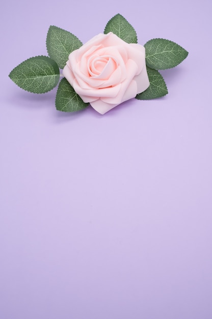 Photo gratuite gros plan vertical tiré d'une seule rose rose isolé sur fond violet avec copie espace