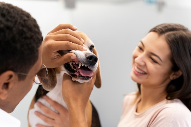 Photo gratuite gros plan sur un vétérinaire prenant soin d'un animal de compagnie