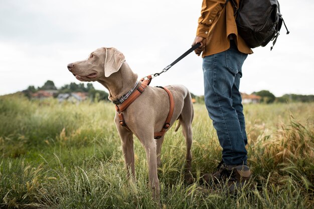 Gros plan voyageur marchant avec un chien