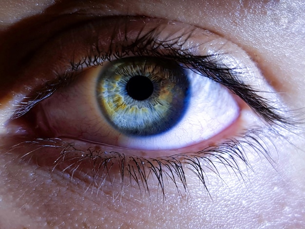 Gros plan des yeux profonds d'une femme humaine