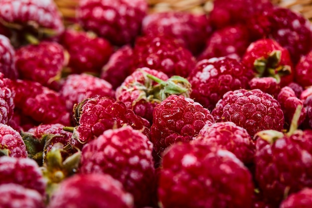 Gros tas de framboises fraîches dans un panier en bois.