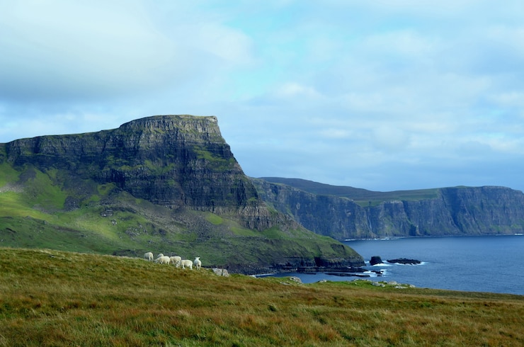 Photo gratuit groupe de moutons paissant dans les highlands écossais à neist point