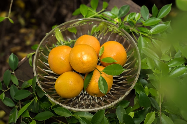 Groupe d&#39;oranges fraîchement cueillies et section dans un panier