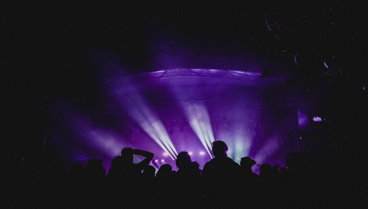 Groupe de personnes près de la scène au concert