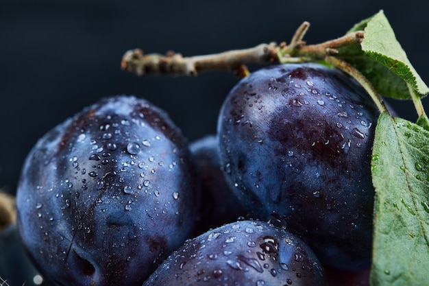 Photo gratuite groupe de prunes fraîches sur fond noir.