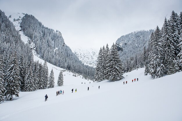 Groupe de randonneurs sur piste enneigée en forêt d'hiver. Aventure en plein air.