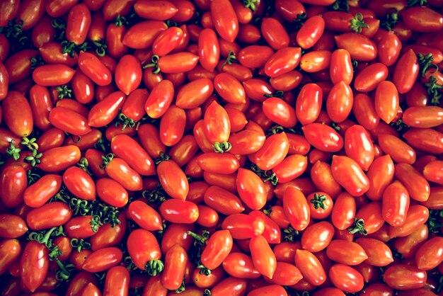 Groupe de tomates cerises rouges fraîches