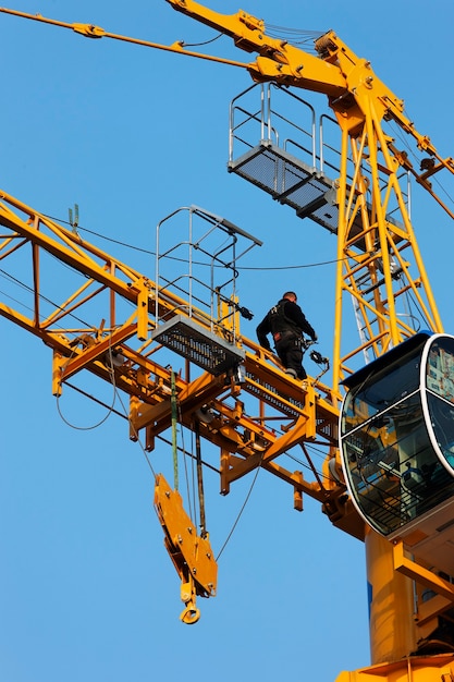 Grue et ciel bleu