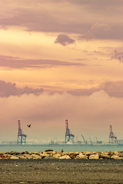 Photo gratuite grues dans un port