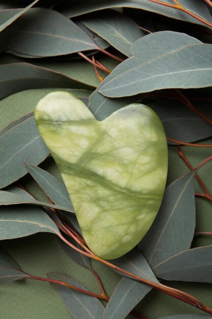 Gua sha et arrangement de feuilles vue de dessus