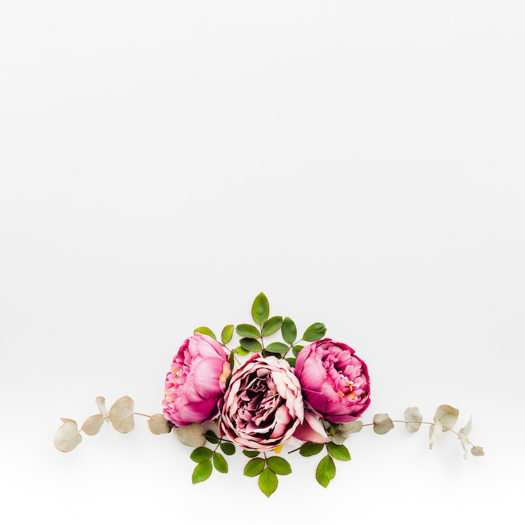 Photo gratuit une guirlande de fleurs