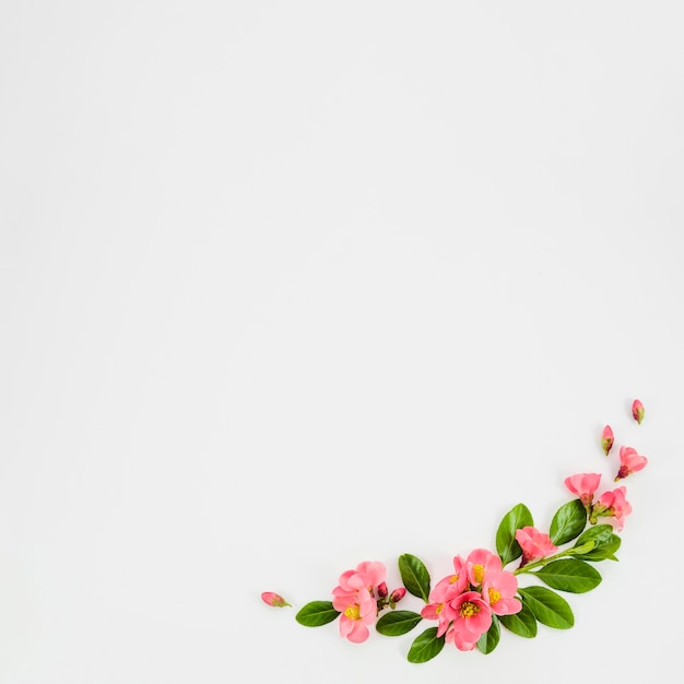 Guirlande florale