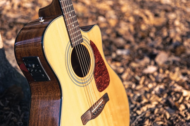 Photo gratuite guitare acoustique dans la forêt parmi les feuilles d'automne sèches