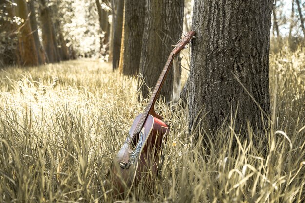 Guitare dans la nature