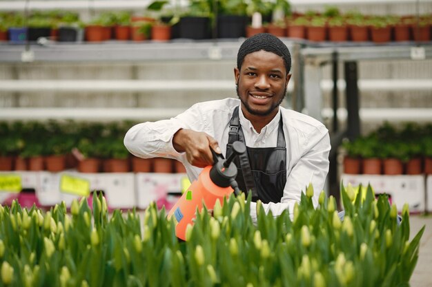 Guy de jardinier africain. Jardinier avec un arrosoir. Parterres de fleurs.