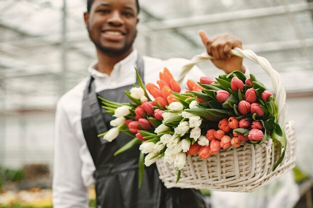 Guy jardinier avec un panier. Africain dans un tablier. Panier de tulipes colorées.