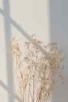Photo gratuite gypsophile séché avec ombre de fenêtre sur un mur beige