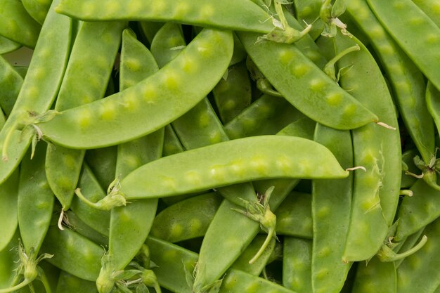 haricot vert