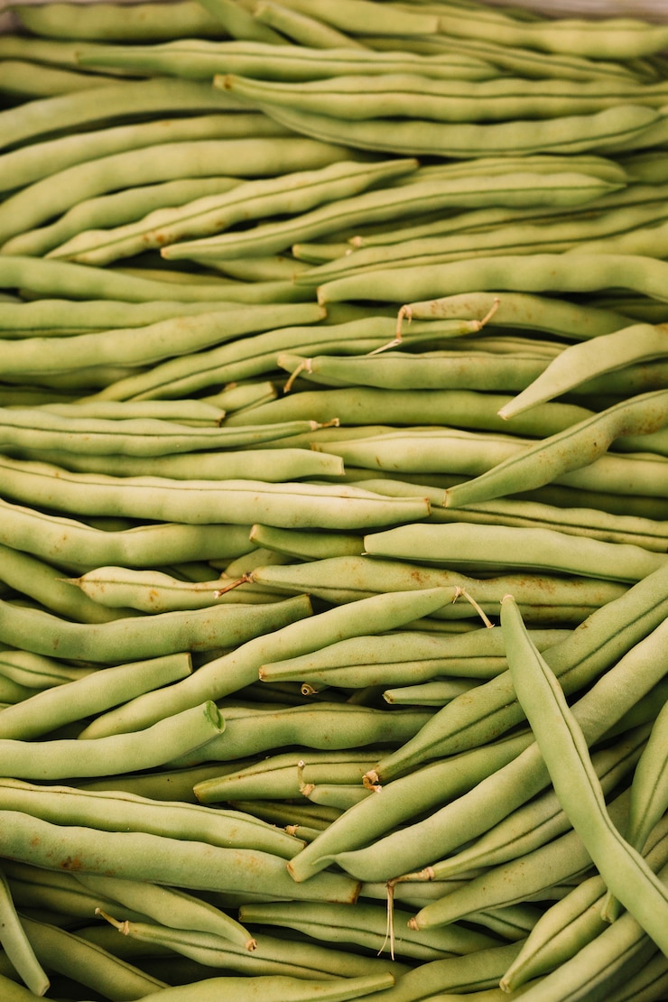 Photo gratuit haricots verts