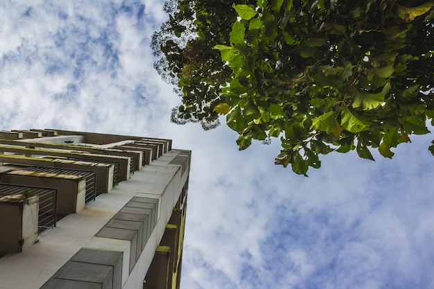 Photo gratuite haut gratte ciel à côté d'un arbre