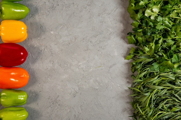 Haut d'herbes fraîches et de légumes poivrons colorés persil tarragonnd avec copie espace sur gris