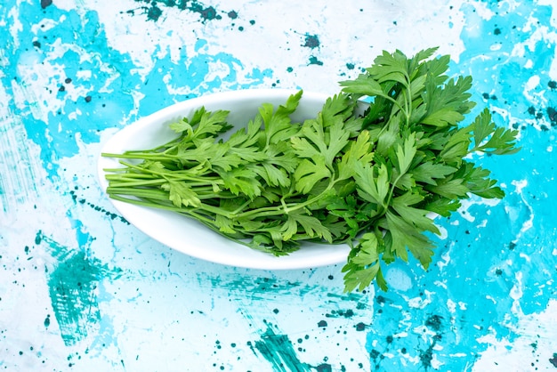 Haut de la page vue rapprochée des verts frais isolés à l'intérieur de la plaque sur bleu vif, repas alimentaire produit feuille verte