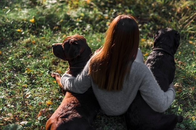 Haute vue angle, de, propriétaire féminin, séance, à, elle, deux, chiens, dans, herbe, à, parc