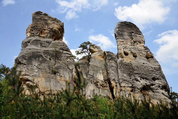 &quot;Les hautes falaises dans les bois&quot;