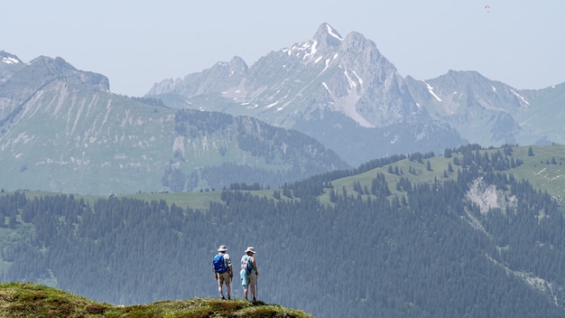 Hautes montagnes et collines couvertes de forêts