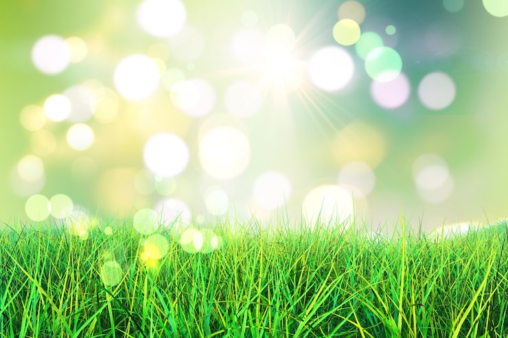 Photo gratuit l'herbe avec des lumières floues