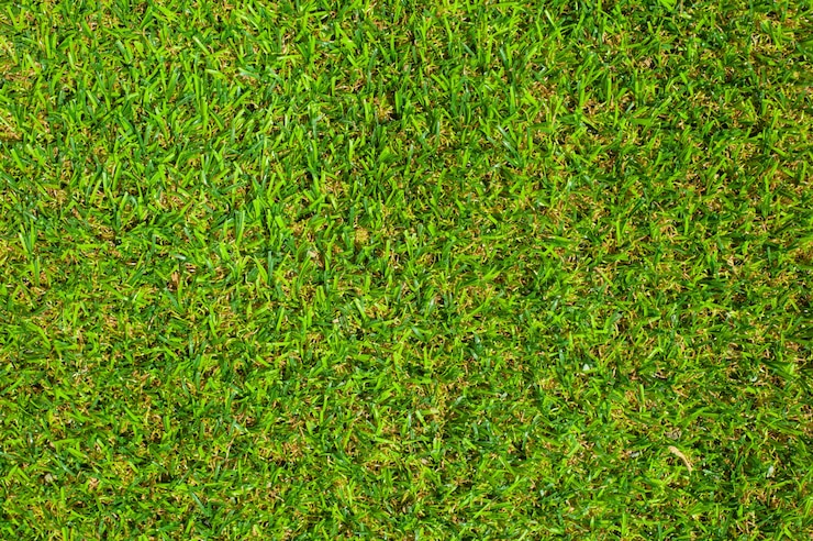 Photo gratuit herbe verte fond de texture