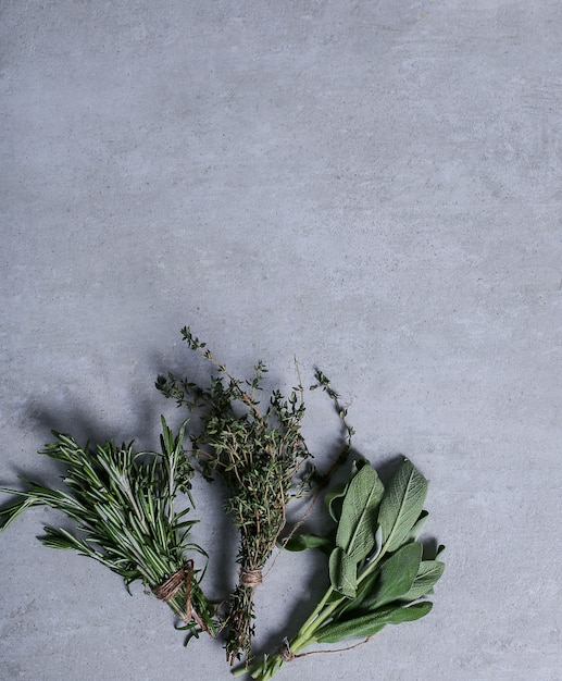 Herbes sur fond gris