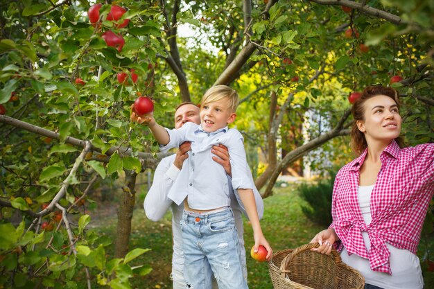 Heureuse jeune famille lors de la cueillette des baies dans un jardin à l'extérieur. Amour, famille, mode de vie, récolte, concept d'automne. Gai, sain et charmant.