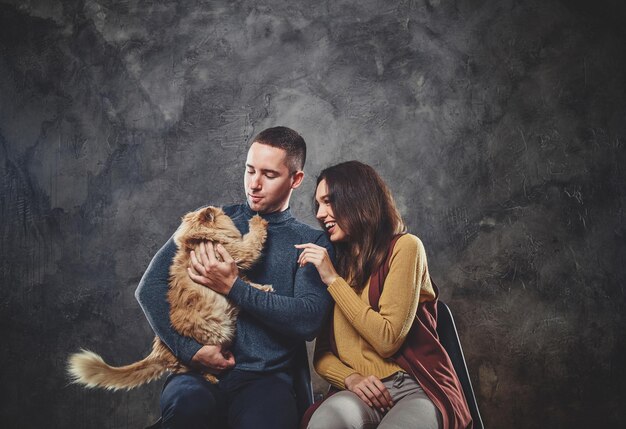 Heureux couple attrayant sont assis au studio photo avec chat moelleux au gingembre.