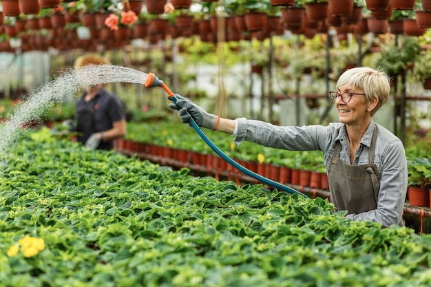 Photo gratuite heureux fleuriste mature arrosant des plantes avec un tuyau d'arrosage tout en travaillant dans une pépinière de plantes à fleurs