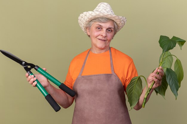 Heureux jardinier femme âgée portant chapeau de jardinage tient des ciseaux de jardinage et branche de plante sur vert olive