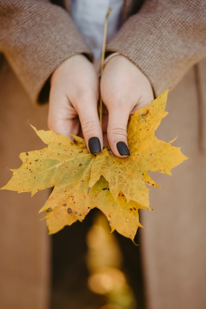 Heureux jeune couple à l'automne