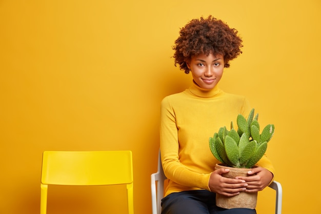 Photo gratuite heureux jeune femme à la peau foncée aux cheveux bouclés détient pot de pose de cactus sur une chaise confortable habillée de vêtements décontractés