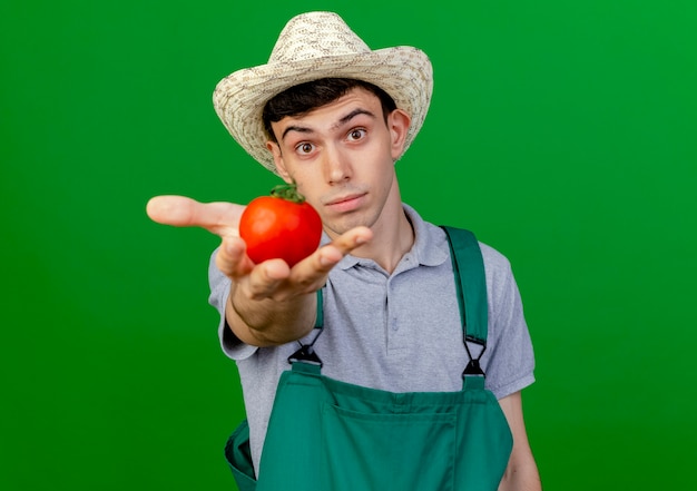 Heureux jeune homme jardinier wearing gardening hat tend la tomate