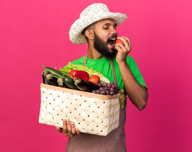 Heureux jeune jardinier afro-américain portant un chapeau de jardinage tenant un panier de légumes morsures de tomate isolées sur un mur rose