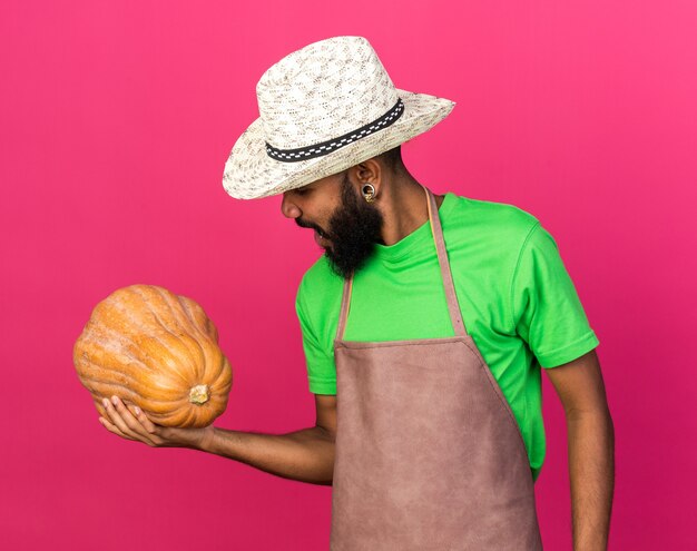 Heureux jeune jardinier afro-américain portant un chapeau de jardinage tenant et regardant la citrouille isolée sur le mur rose