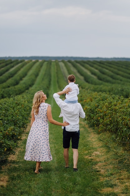 Heureux Jeune Papa De Famille, Maman Et Petit Fils A L'air Heureux Dans Le Parc