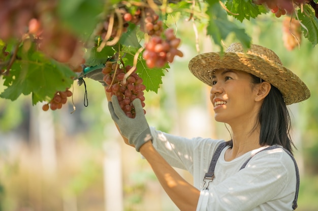 Heureux souriant joyeux vignoble femelle portant une salopette et un chapeau de paille robe de ferme