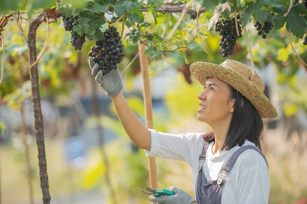 Heureux souriant joyeux vignoble femelle portant une salopette et un chapeau de paille robe de ferme